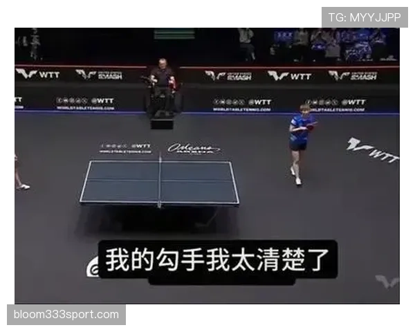 中断规则：裁判何时必须或可选择停止比赛