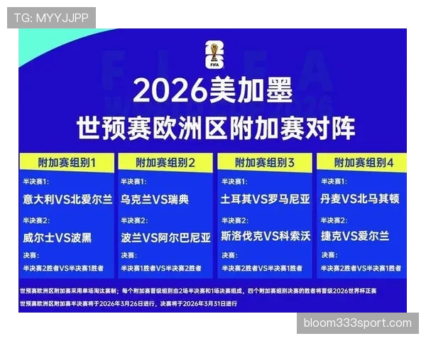 波黑冲击2026世界杯：晋级前景与阵容挑战分析