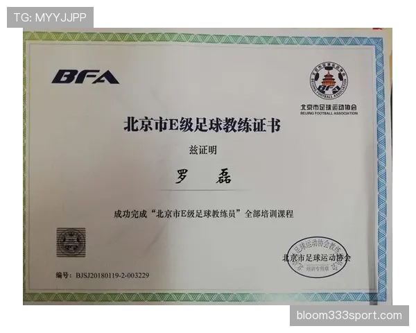 足球中断规则解析：裁判判罚时机与比赛恢复标准详解